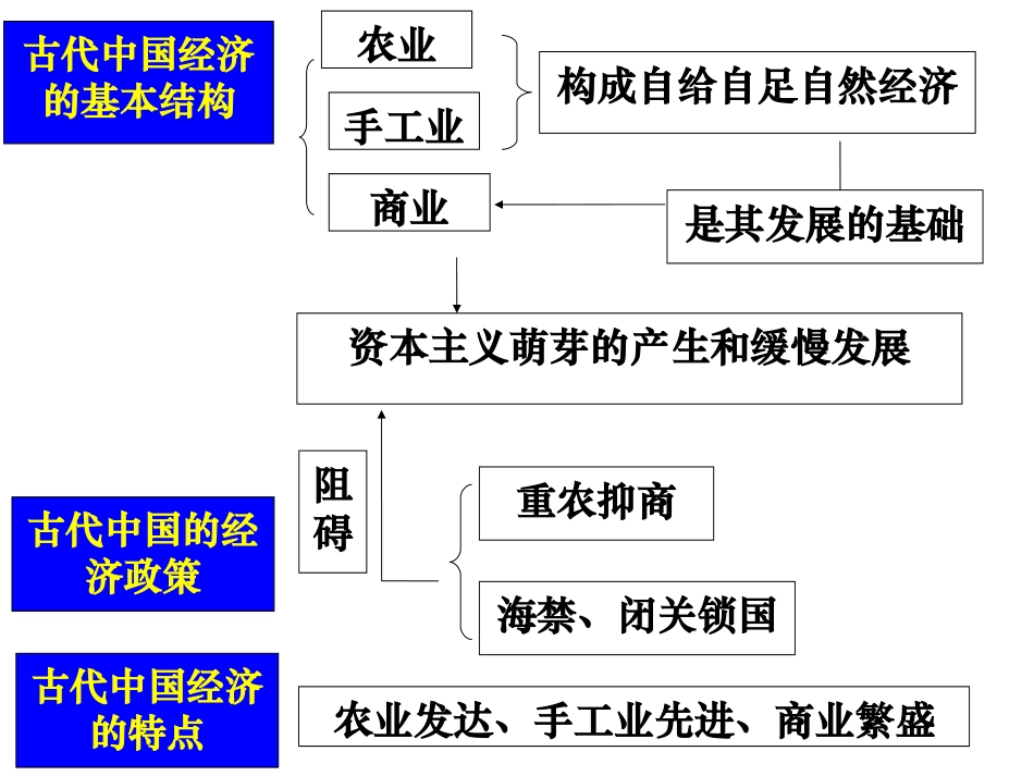 发达的古代农业（复习）_第3页