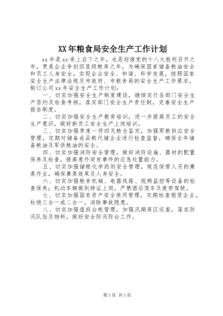 XX年粮食局安全生产工作计划 