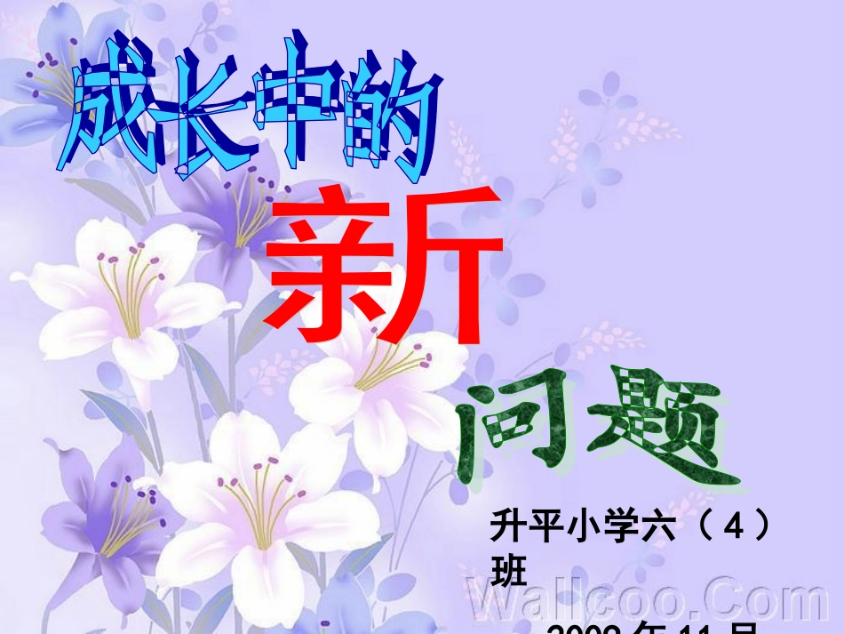成长中的问题课件_第1页