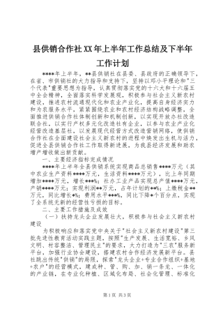县供销合作社XX年上半年工作总结及下半年工作计划 