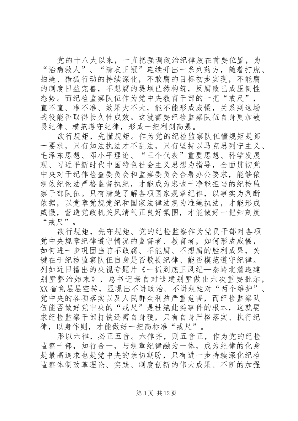 学习《一抓到底正风纪》心得体会8篇_第3页