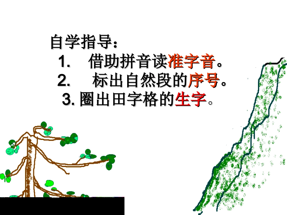 小松树和大松树课件_第3页