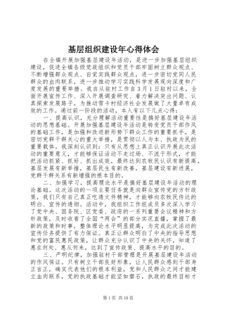 基层组织建设年心得体会