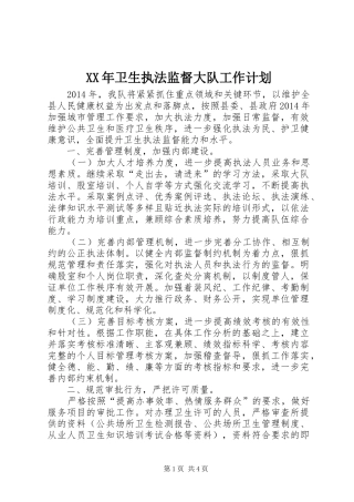 XX年卫生执法监督大队工作计划 