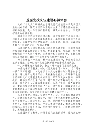 基层发改队伍建设心得体会