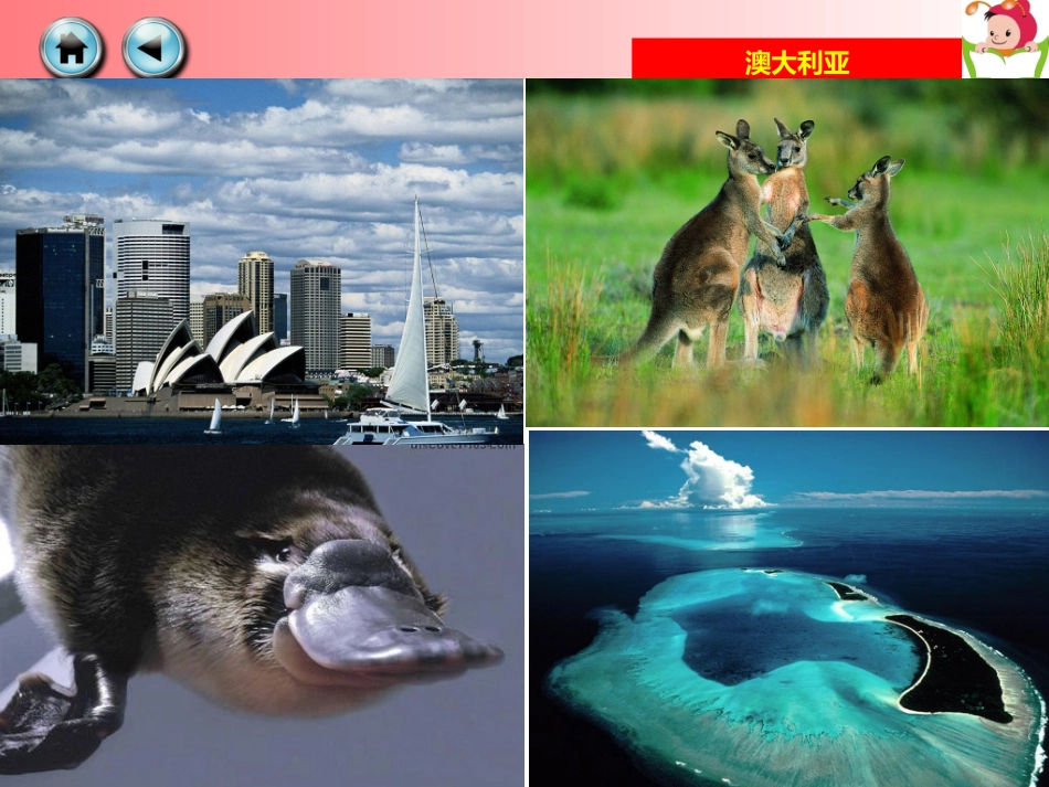 优秀课例--澳大利亚_第3页