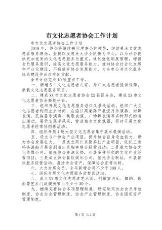 市文化志愿者协会工作计划 