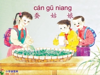 《蚕姑娘》PPT课件之三