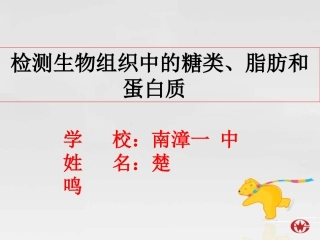 检测生物组织中的糖类、脂肪和蛋白质_说课课件