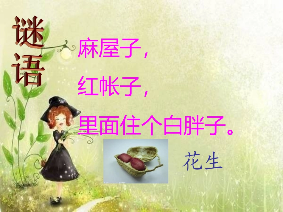 中班科学课件：花生的秘密_第2页