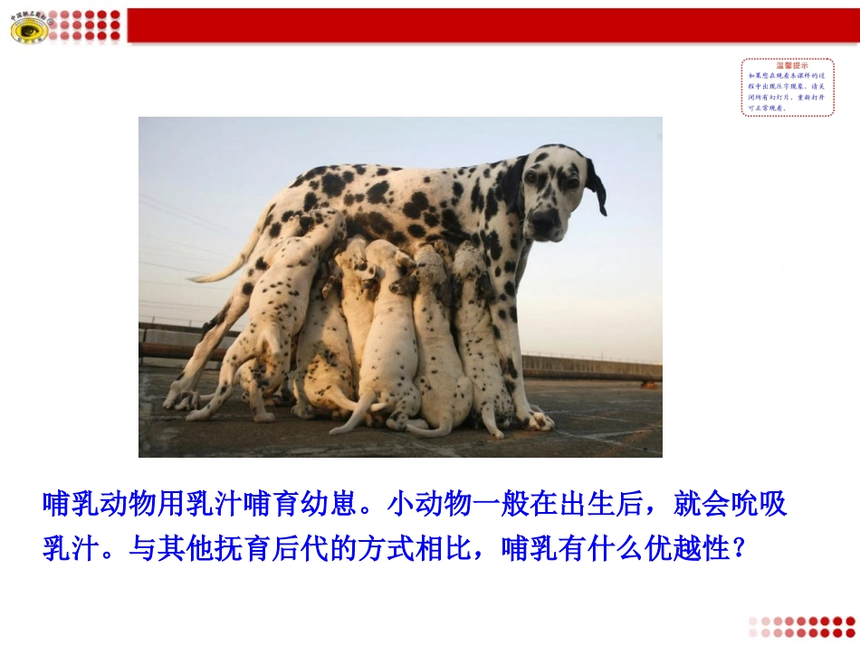 人教版八年级上册第七节_哺乳动物_第2页