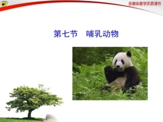 人教版八年级上册第七节_哺乳动物