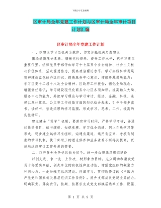 区审计局全年党建工作计划与区审计局全年审计项目计划汇编