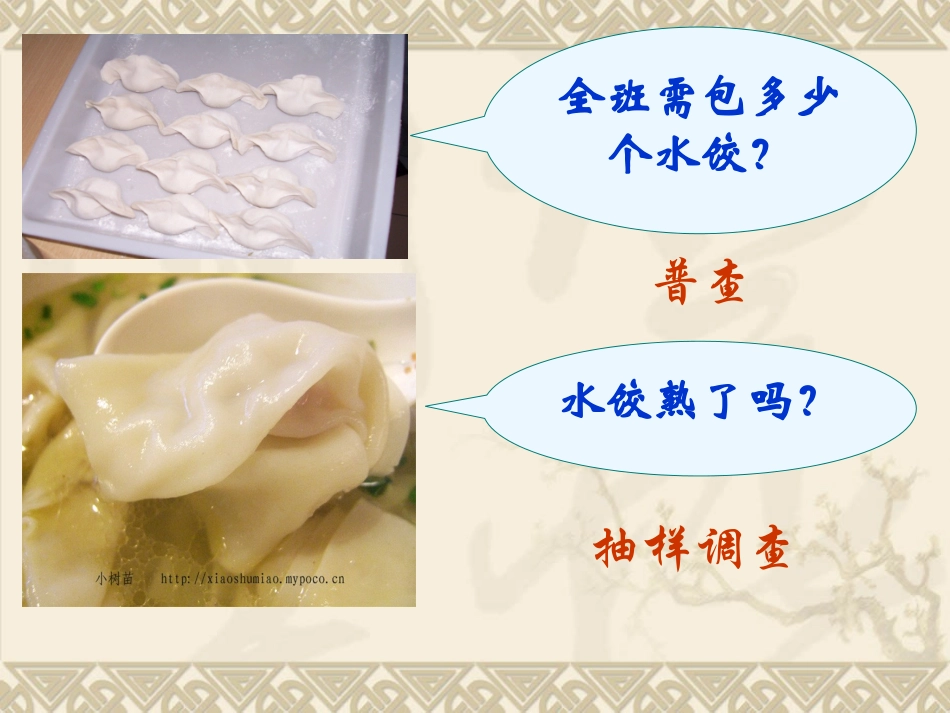 普查与抽样调查课件_第2页