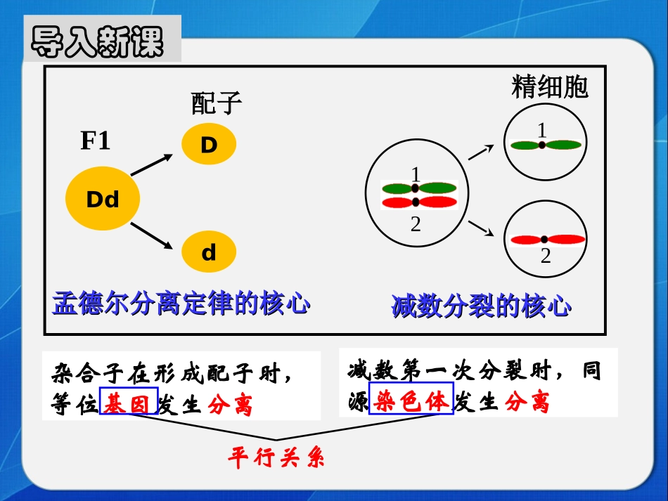 基因在染色体上定_第2页