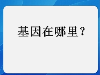 基因在染色体上定