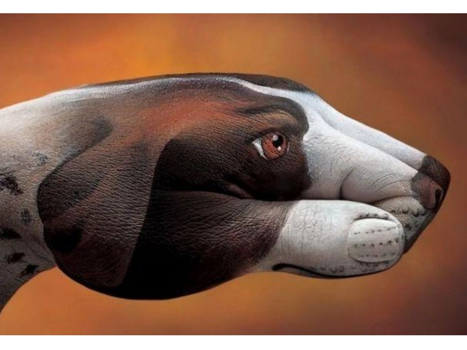 大班美术《手掌彩绘》：_第2页