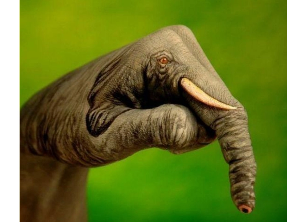 大班美术《手掌彩绘》：_第3页