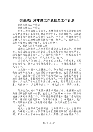 街道统计站年度工作总结及工作计划 