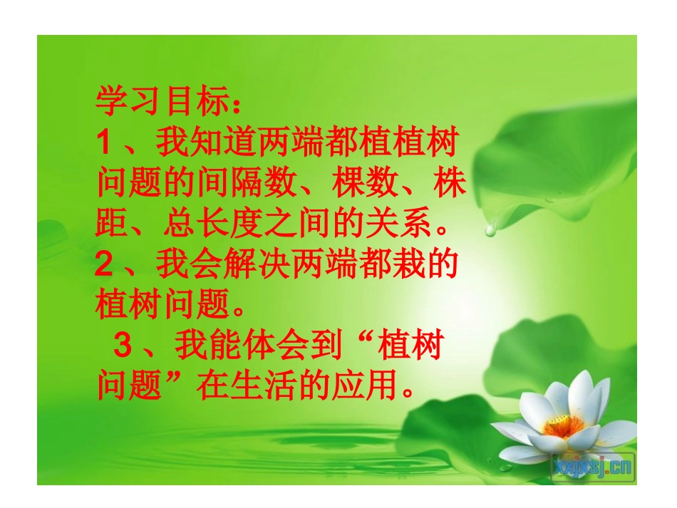 植树问题PPT课件新_第2页