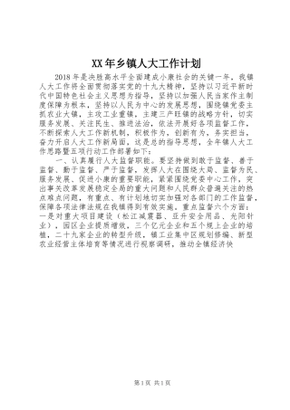 XX年乡镇人大工作计划 