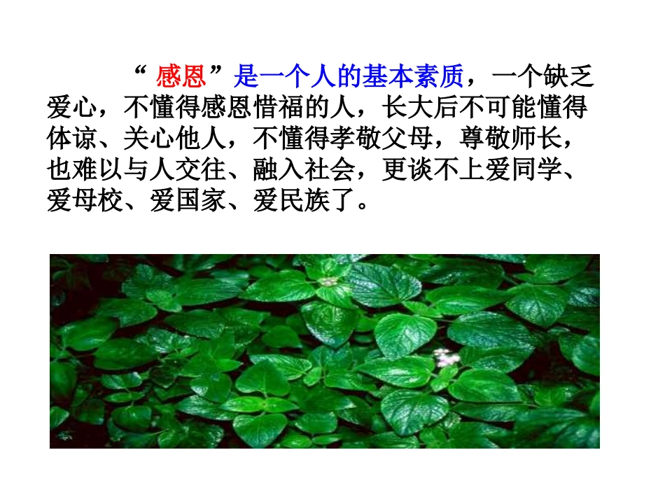 初二感恩教育课件_第3页