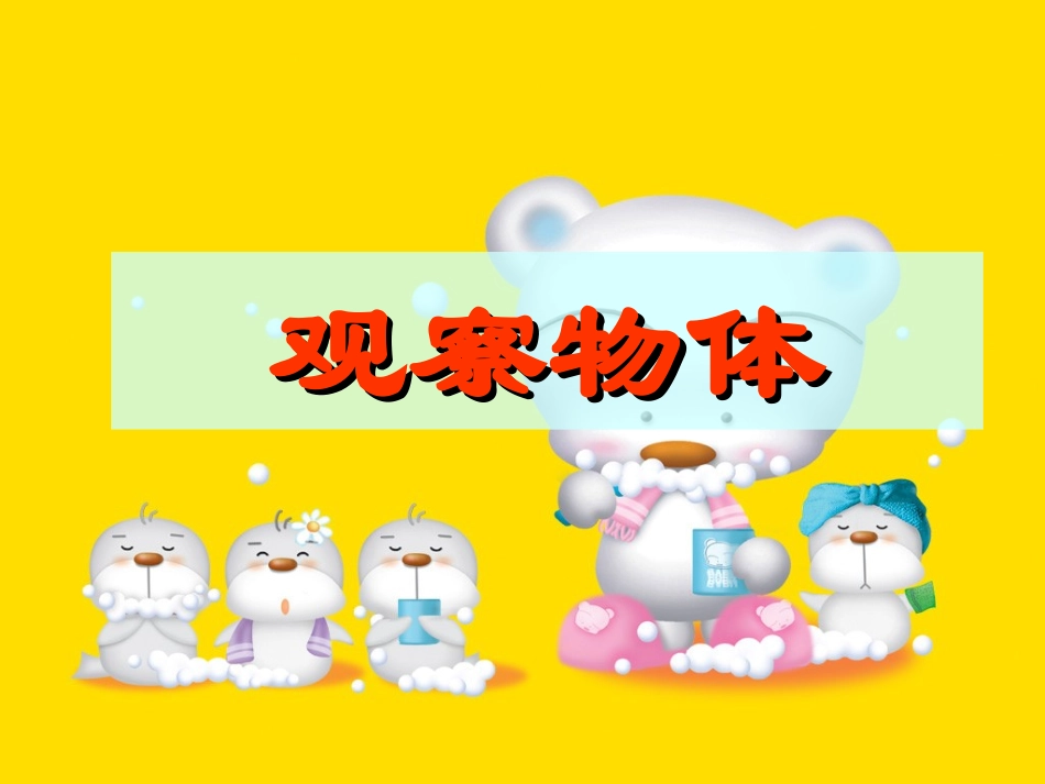 《观察物体》PPT课件_第1页