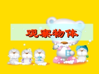 《观察物体》PPT课件