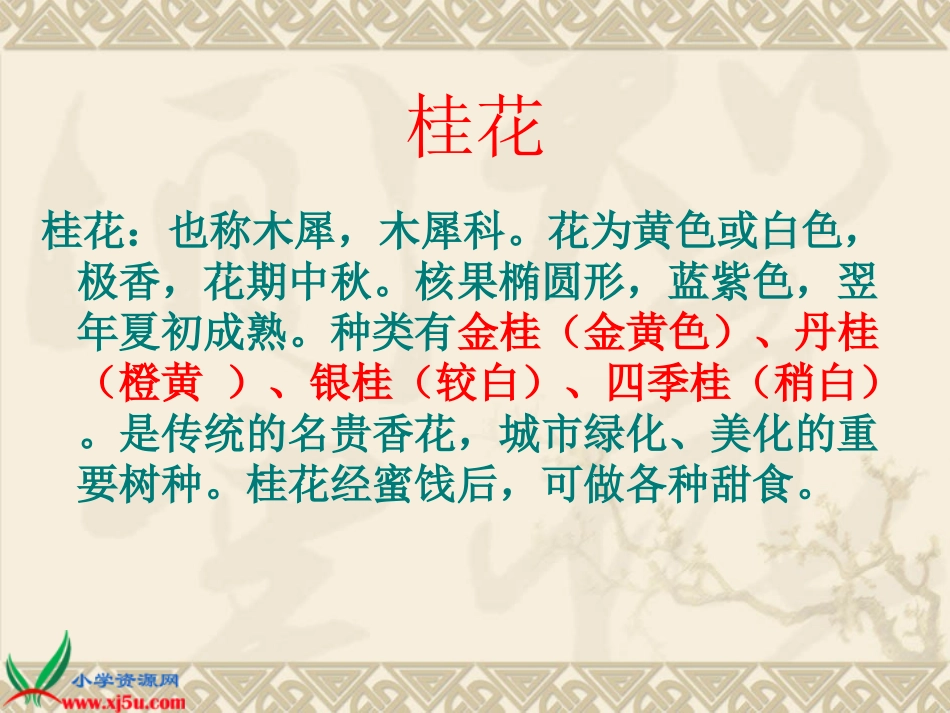 桂花雨 (6)_第3页