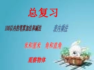 《总复习》课件1