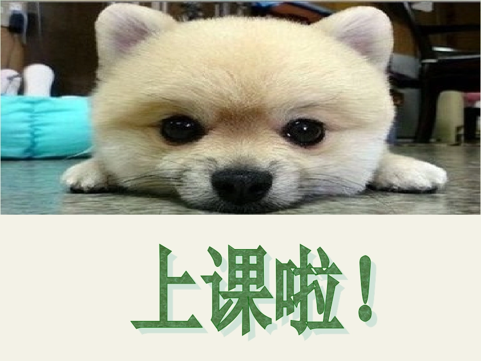 做家务—2的乘法口诀_第1页