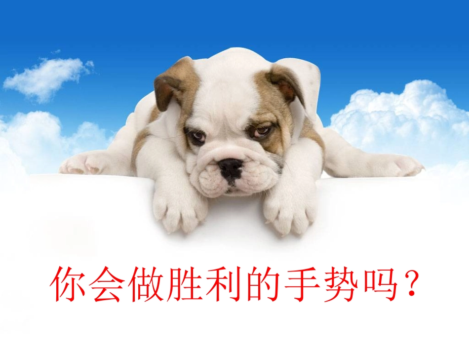 做家务—2的乘法口诀_第2页