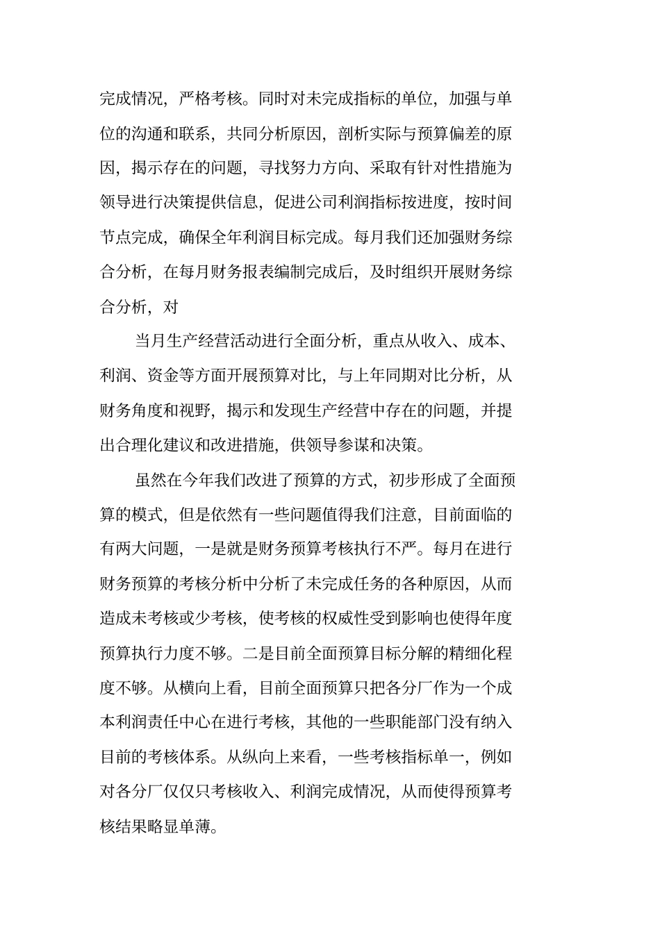 全面预算管理工作总结_第2页