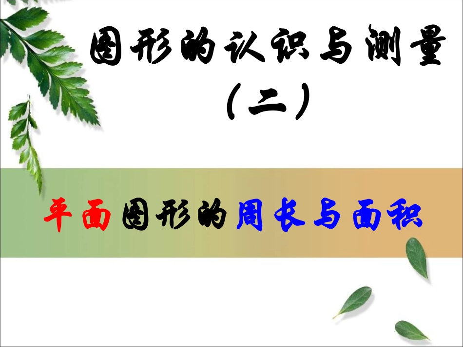 图形的认识与测量(二)_第2页