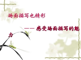 场面描写PPT