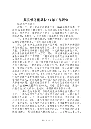 某县常务副县长XX年工作规划 