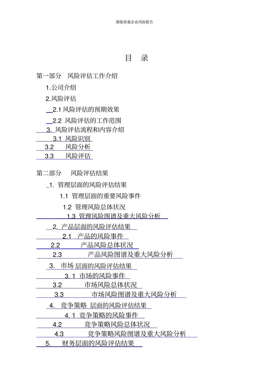 全面风险评价及内控报告模板_第2页