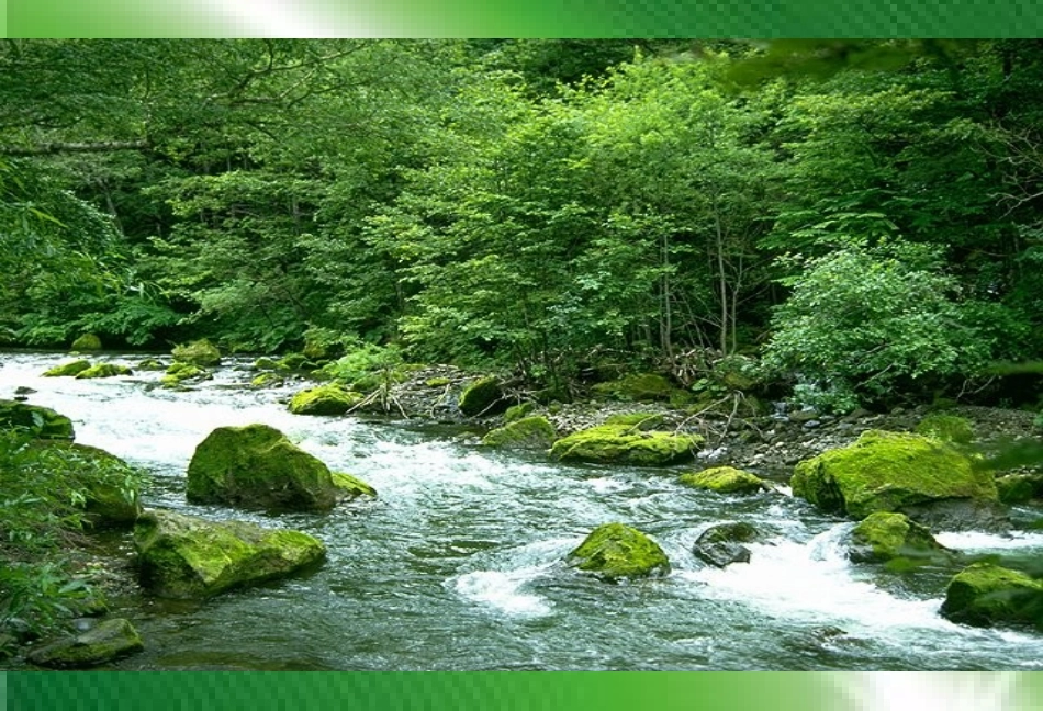 主题班会——低碳环保，从我做起_第3页