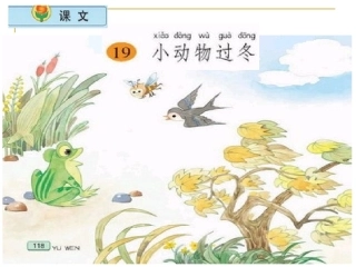 小学《小动物过冬》说课