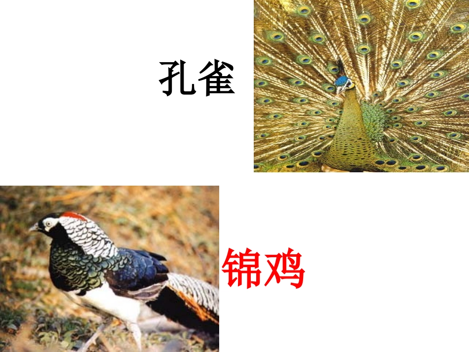 二年级上册识字7_第3页