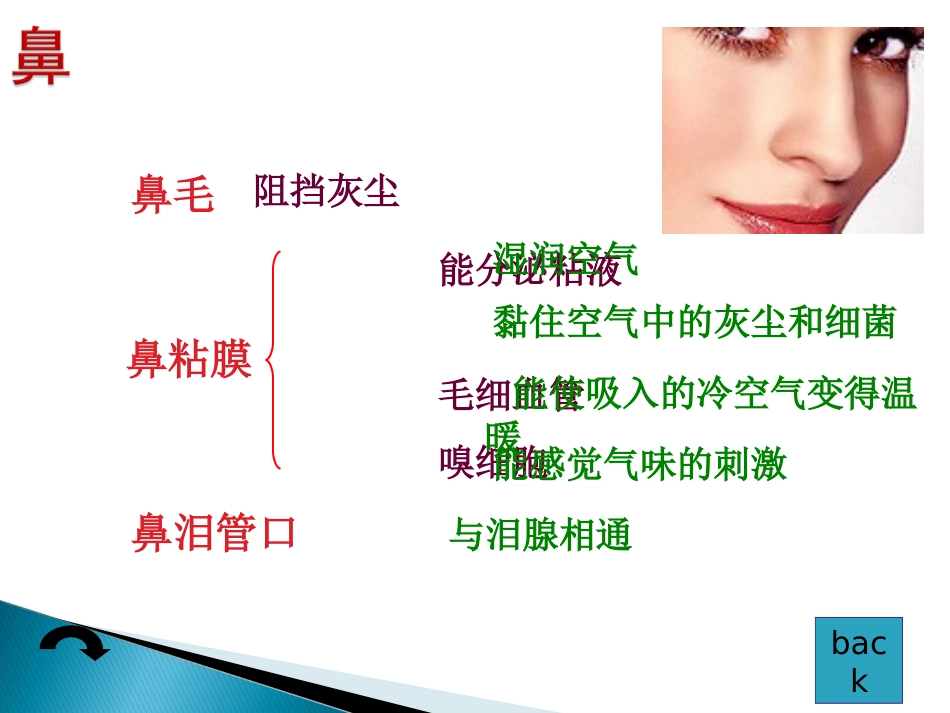 人体的呼吸3_第3页