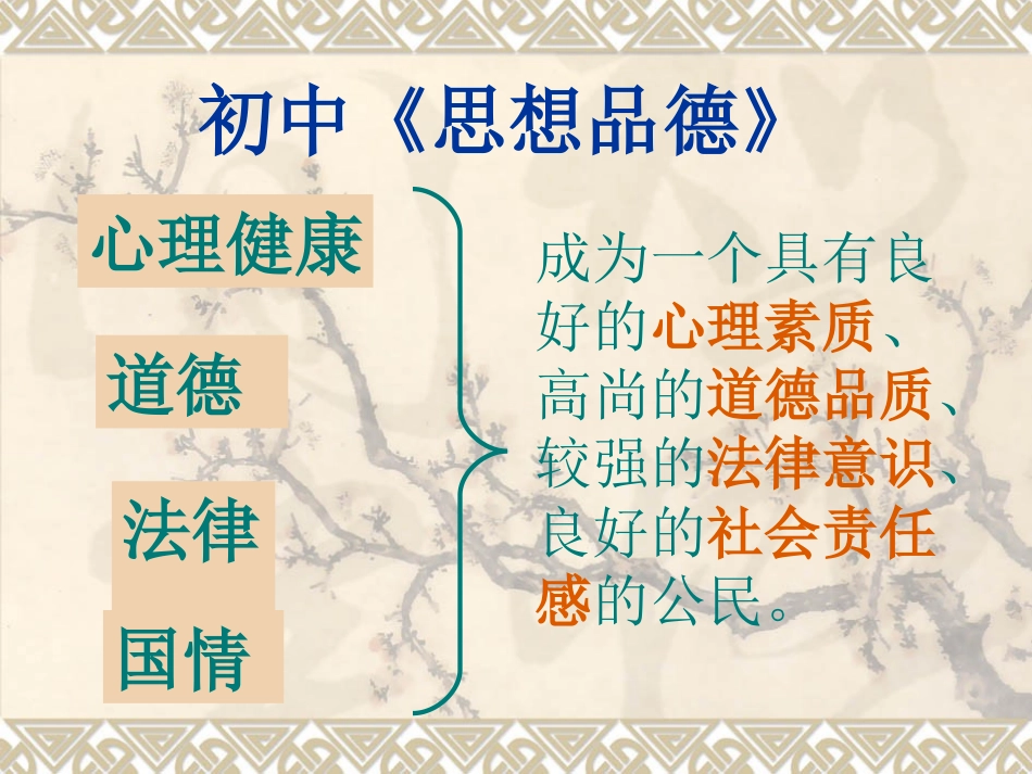 初中政治概述_第1页