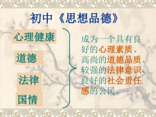 初中政治概述