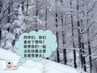 松坊溪雪景课件