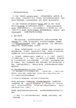 六呼吸系统资料