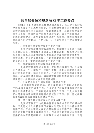 县自然资源和规划局XX年工作要点 