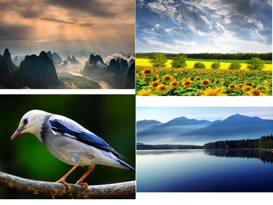 初中语文县公开课《盲孩子和他的影子》_第1页