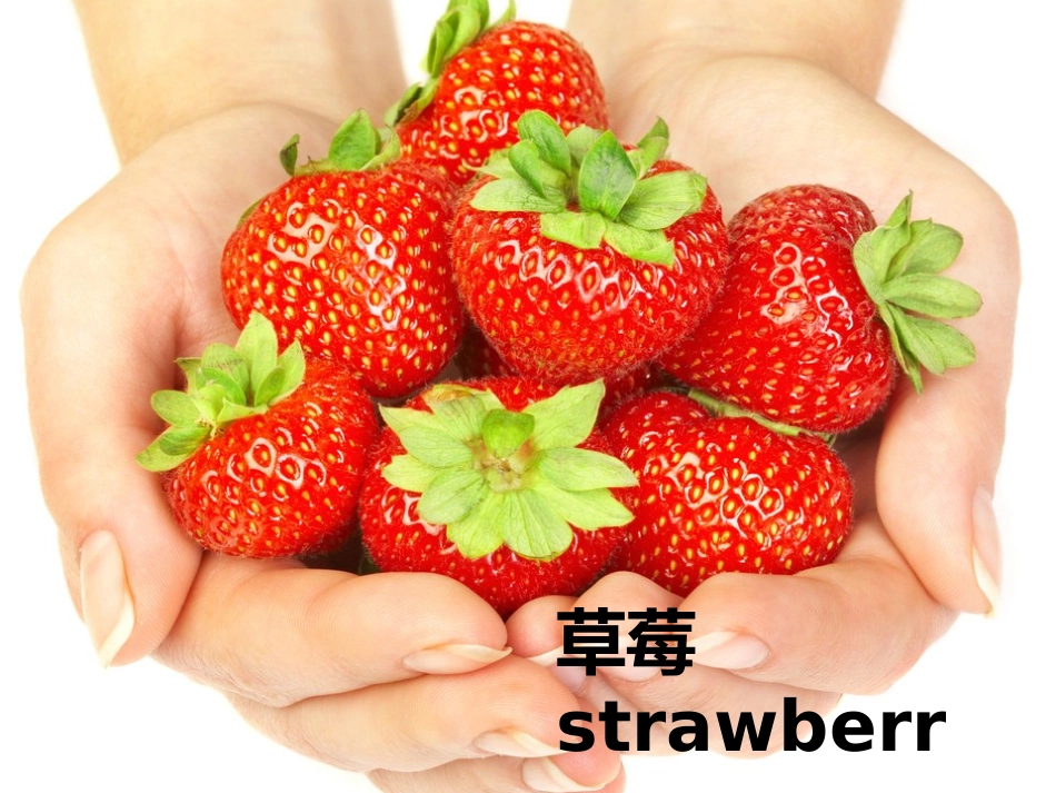 三年级英语开学第一节课1_第3页