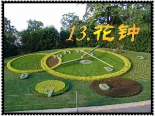 三年级语文上册第四组13花钟第一课时课件