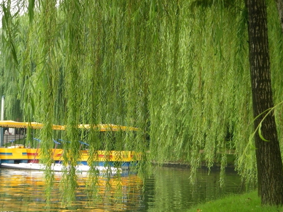 儿歌PPT：春风_第2页